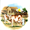 Farm house cows